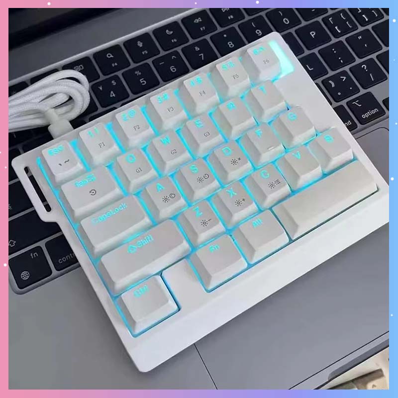 Gaming Keyboard Magnetic Switches - HE30 Keyboard Gaming Mekanik 29 Tombol